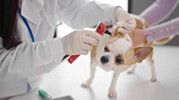 在兽医诊所用耳镜检查狗的年轻女子和奇瓦瓦犬兽医 — 图库照片