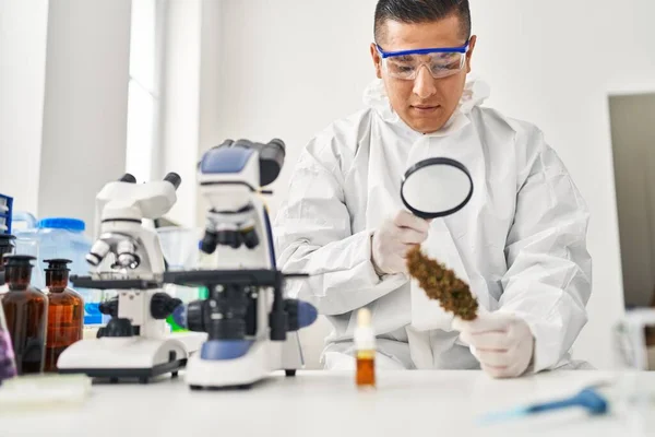 Young Latin Man Scientist Looking Cannabis Herb Loupe Laboratory — Stock Photo, Image