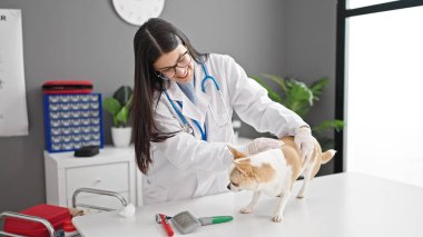 Chihuahua köpeği veteriner köpeği olan genç İspanyol kadın veteriner kliniğinde köpeğini muayene ediyor.