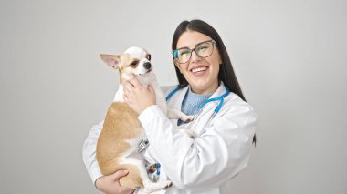 Chihuahua köpek veterineri ile genç İspanyol kadın izole edilmiş beyaz arka planda köpeğini tutarken gülümsüyor.