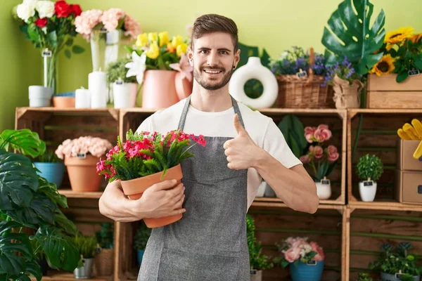 Hispanic Man Beard Working Florist Shop Holding Plant Smiling Happy — Stock Photo, Image