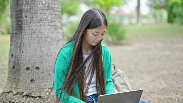 Young Chinese Woman Using Laptop Sitting Floor Park — Stock Video