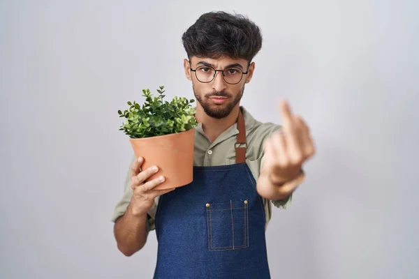 Arab Man Beard Holding Green Plant Pot Showing Middle Finger — 图库照片