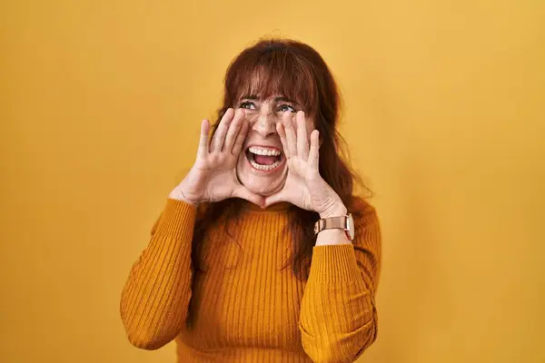Middle Age Hispanic Woman Standing Yellow Background Shouting Angry Out — Stock Photo, Image