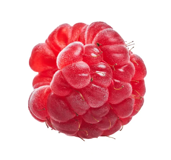 Delicious Single Raspberry Isolated White Background — Stock Photo, Image