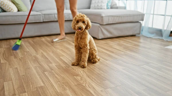 Young caucasian woman with dog cleaning floor at home