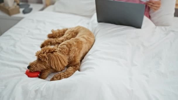 Köpekli Beyaz Bir Kadın Yatak Odasındaki Yatakta Laptopuyla Video Görüşmesi — Stok video