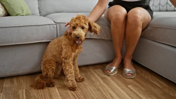 Junge Kaukasierin Mit Hund Sitzt Hause Auf Dem Sofa — Stockvideo