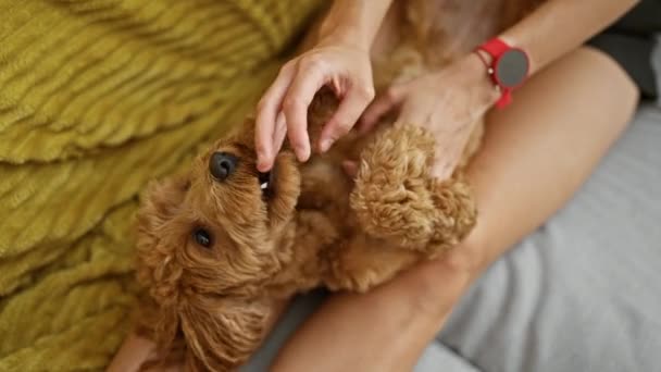 Junge Kaukasierin Mit Hund Sitzt Auf Dem Sofa Und Kitzelt — Stockvideo