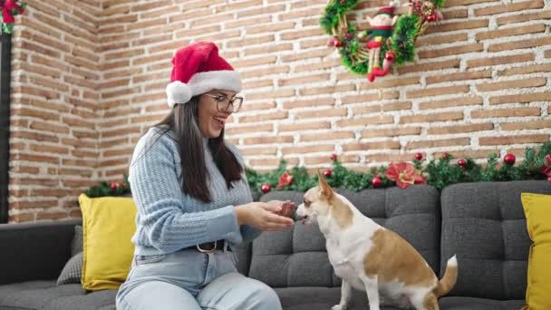Jovem Hispânica Com Chihuahua Cão Jogando Usando Chapéu Natal Casa — Vídeo de Stock