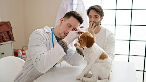 Dwóch Mężczyzn Badających Uszy Psa Pomocą Otoskopu Klinice Weterynaryjnej — Zdjęcie stockowe