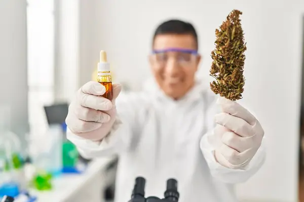 Young Latin Man Scientist Holding Cannabis Herb Liquid Laboratory — Stock Photo, Image