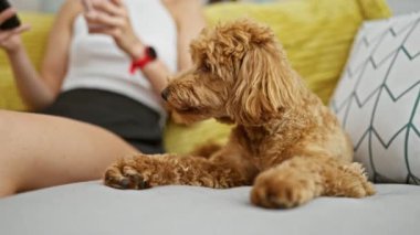 Kafkasyalı genç bir kadın elinde köpeğiyle evdeki kanepede oturmuş akıllı telefon kullanarak kahve içiyor.
