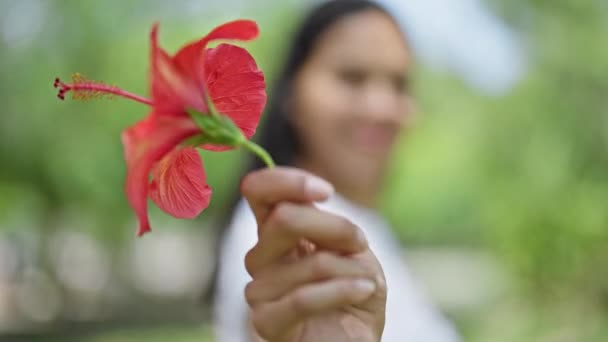 Mujer Afroamericana Sonriendo Confiada Girando Sola Sosteniendo Flores Parque — Vídeo de stock
