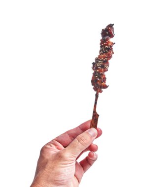  Teriyaki tavuğundan nefis bir şişe tutan adamın eli izole edilmiş beyaz arka planda.