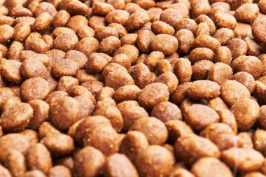  Lezzetli köpek maması küre dokusu.