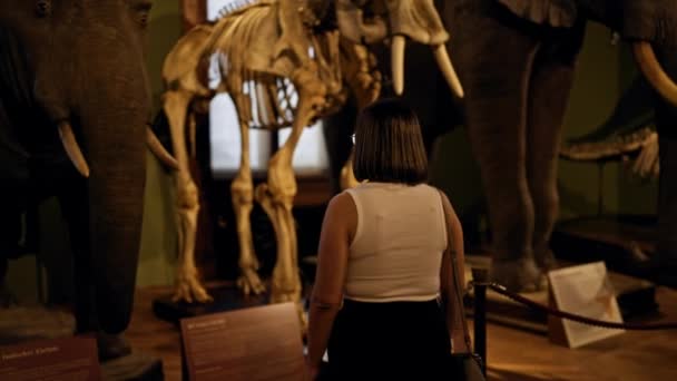 Tarih Müzesindeki Kadın Arka Planda Kapat — Stok video
