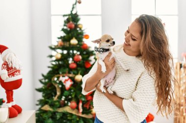 Young beautiful hispanic woman hugging chihuahua standing by christmas tree at home