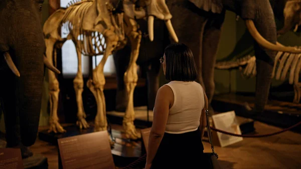 Nuori Kaunis Latino Nainen Vierailee Luonnonhistorian Näyttely Natural History Museum — kuvapankkivalokuva
