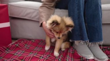 Köpekli genç İspanyol kadın Noel 'i kutluyor. Evdeki kanepede oturuyor.