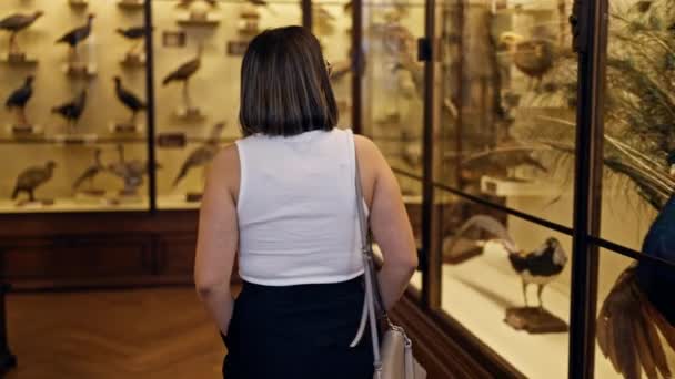 在维也纳自然历史博物馆参观自然历史博物馆的年轻美丽的惊慌失措的女人 — 图库视频影像