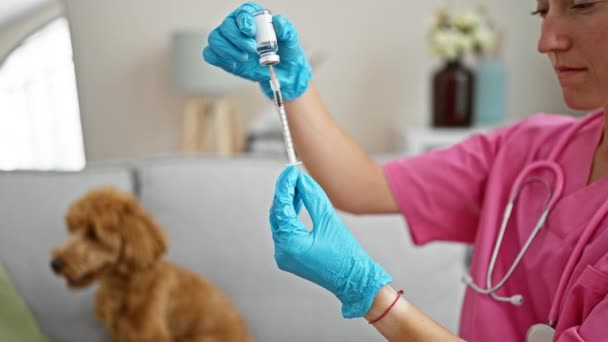Young Caucasian Woman Dog Veterinarian Preparing Vaccine Veterinary Clinic — Stock Video