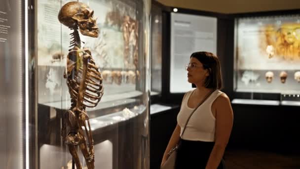 Młoda Piękna Latynoska Kobieta Odwiedzająca Wystawę Antropologiczną Muzeum Historii Naturalnej — Wideo stockowe