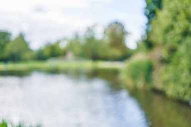 Park arka plan bulanık 