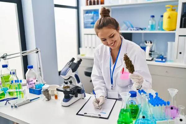 Young Beautiful Hispanic Woman Scientist Writing Report Holding Marijuana Laboratory — Stock Photo, Image