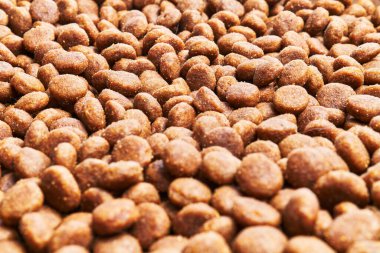  Lezzetli köpek maması küre dokusu.