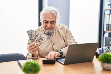 Ofiste dolar saymak için dizüstü bilgisayar kullanan orta yaşlı, kır saçlı bir iş adamı.