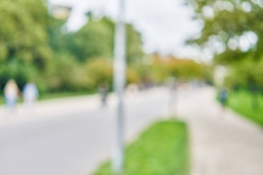 Park arka plan bulanık 