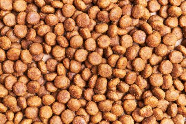 Lezzetli köpek maması küre dokusu.