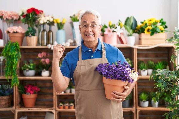 Μεσήλικας Άνδρας Γκρίζα Μαλλιά Εργάζεται Στο Ανθοπωλείο Κρατώντας Φυτό Ουρλιάζοντας — Φωτογραφία Αρχείου
