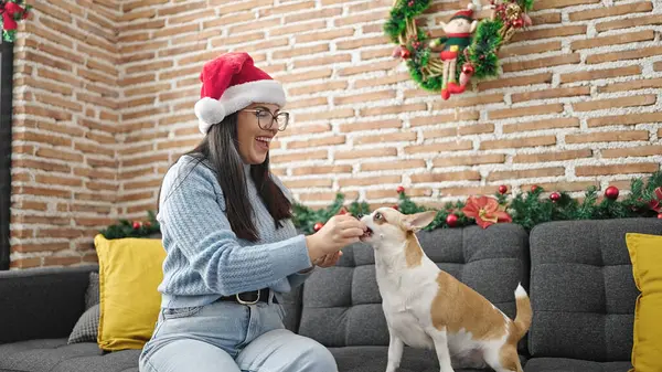 Молодая Латиноамериканка Собакой Чихуахуа Играющая Дома Рождественской Шляпе — стоковое фото