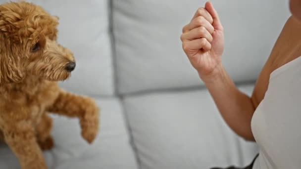 Joven Mujer Caucásica Con Perro Sentado Sofá Dando Pata Casa — Vídeos de Stock