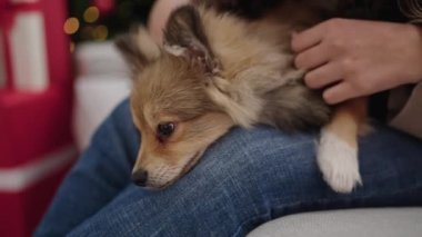 Köpekli genç İspanyol kadın Noel 'i kutluyor. Evdeki kanepede oturuyor.