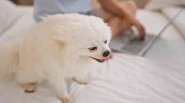 Rahat bir dairede, rahat bir sabah, yakışıklı köpeğiyle rahatlar, rahat bir şekilde yatağında oturur, yatak odasının rahatlığında dizüstü bilgisayarına odaklanır.