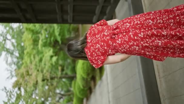 Nádherná Hispánka Brýlích Klanějící Modlitbě Tokyovském Historickém Chrámu Gotokuji Objímající — Stock video