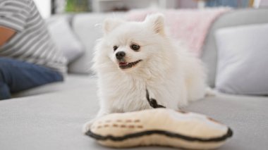 Yakışıklı, rahat, beyaz bir adam rahat rahat evcil bir köpekle rahat bir şekilde kanepede oturuyor. Oturma odasında evinde rahatlığını ifade ediyor.
