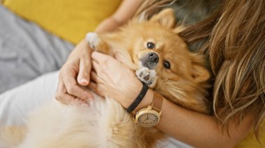 Güzel bir kadın köpeğine dokunuyor. Yatak odasında uzanmış yetişkin ellerinin portresi. Evcil hayvanı içeride tutuyor.