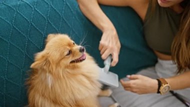 Güzel, genç, İspanyol bir kadın oturma odasında oturmuş köpeğinin saçını yuvarlak bir tarakla tarıyor. Temiz bir ev için kullanışlı bir kürk çıkarıcı..
