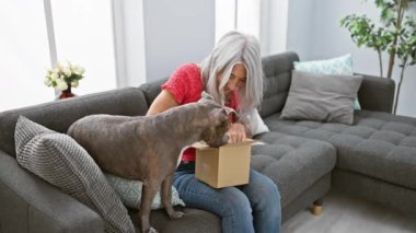 Neşeli orta yaşlı kadın, gri saçlı ve köpekli, evinde rahat oturma odasındaki kanepesinde bir balo paketi açıyor.