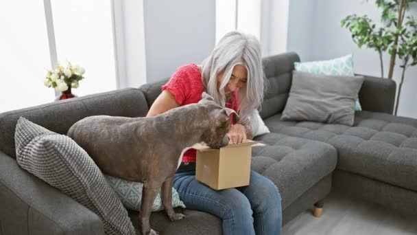 Joyful Middle Age Woman Grey Haired Dog Happily Unpacking Ball — Stock Video