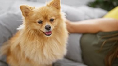 Neşeli genç İspanyol kadın kendine güveni yayıyor, gülüyor ve köpeğiyle eğleniyor, dairesinde yatağında uzanıyor..