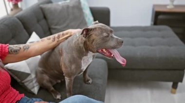Sıcak, rahat bir evin içinde, nazik bir kadının elleri sevgili köpeğine sevgiyle uzanıyor, oturma odasında birbirine bağlanıyor..