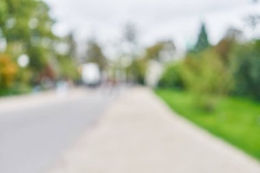 Park arka plan bulanık 