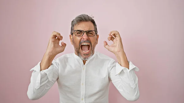 Young Attractive Hispanic Man Grey Haired Bearded Screaming Loud Furious — Stock Photo, Image