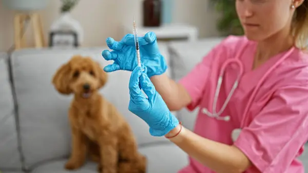 Young caucasian woman with dog veterinarian preparing vaccine at veterinary clinic