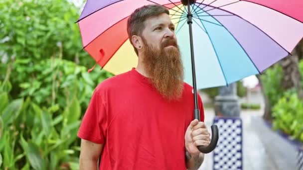陽気な若い赤毛の男は自信を持って市立公園で雨の日を楽しんで 傘を手に入れ ハンサムな笑顔で喜びと肯定的なバイブを放つ — ストック動画